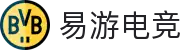 易游电竞 - (中国)科技股份有限公司 - 官网